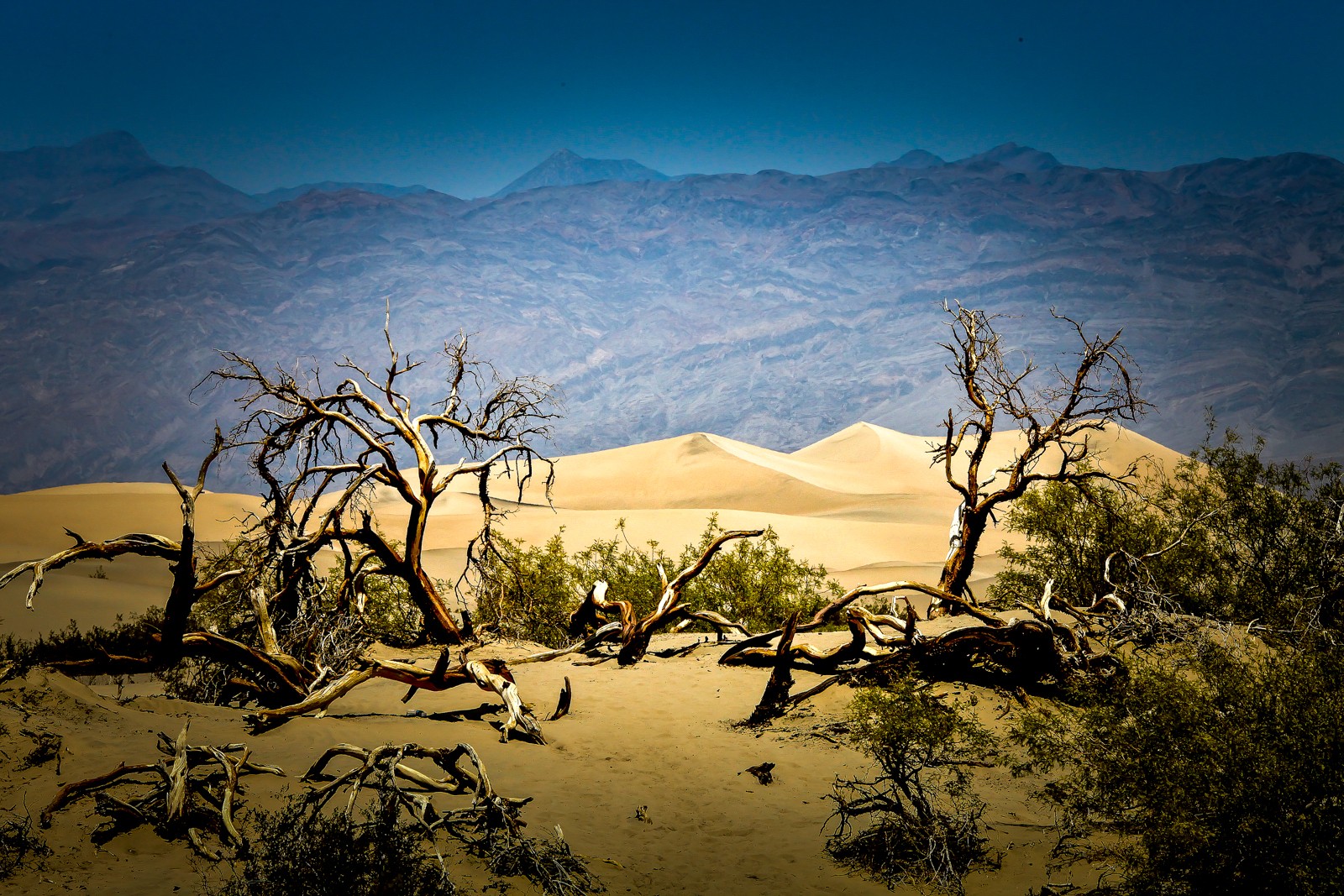 Písečné duny začínají malý kousek za návštěvnickým centrem. - Ladislav Hanousek, Death Valley NP