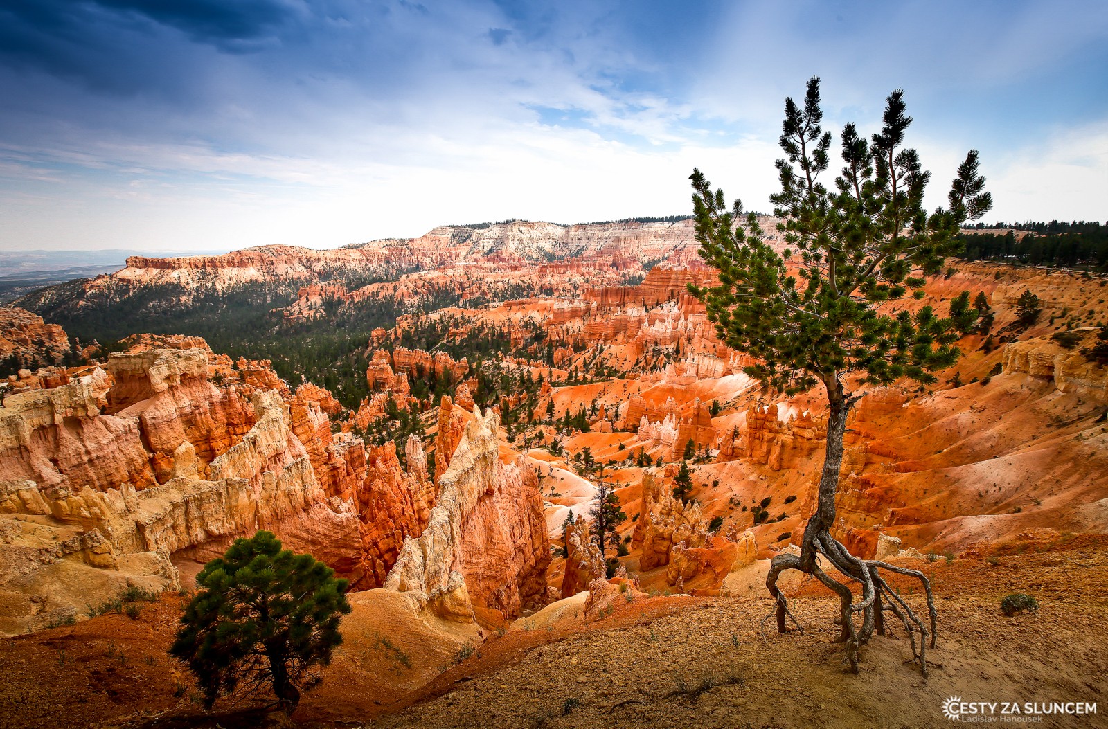 Eroze povrchu kaňonu je nejlépe viditelná na Sunrise Point. - Ladislav Hanousek, Bryce Canyon