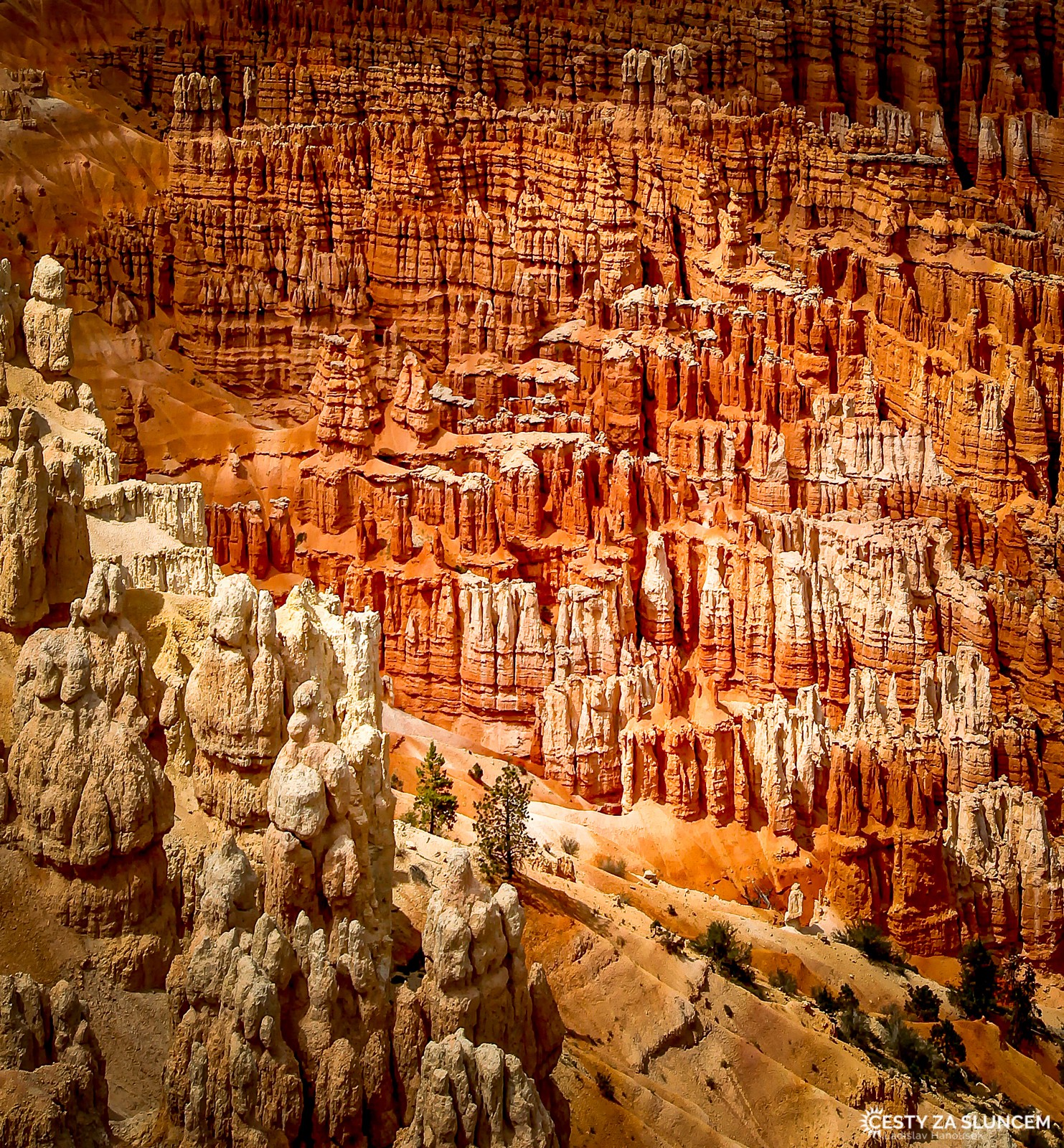 Inspiration Point - Ladislav Hanousek, Bryce Canyon