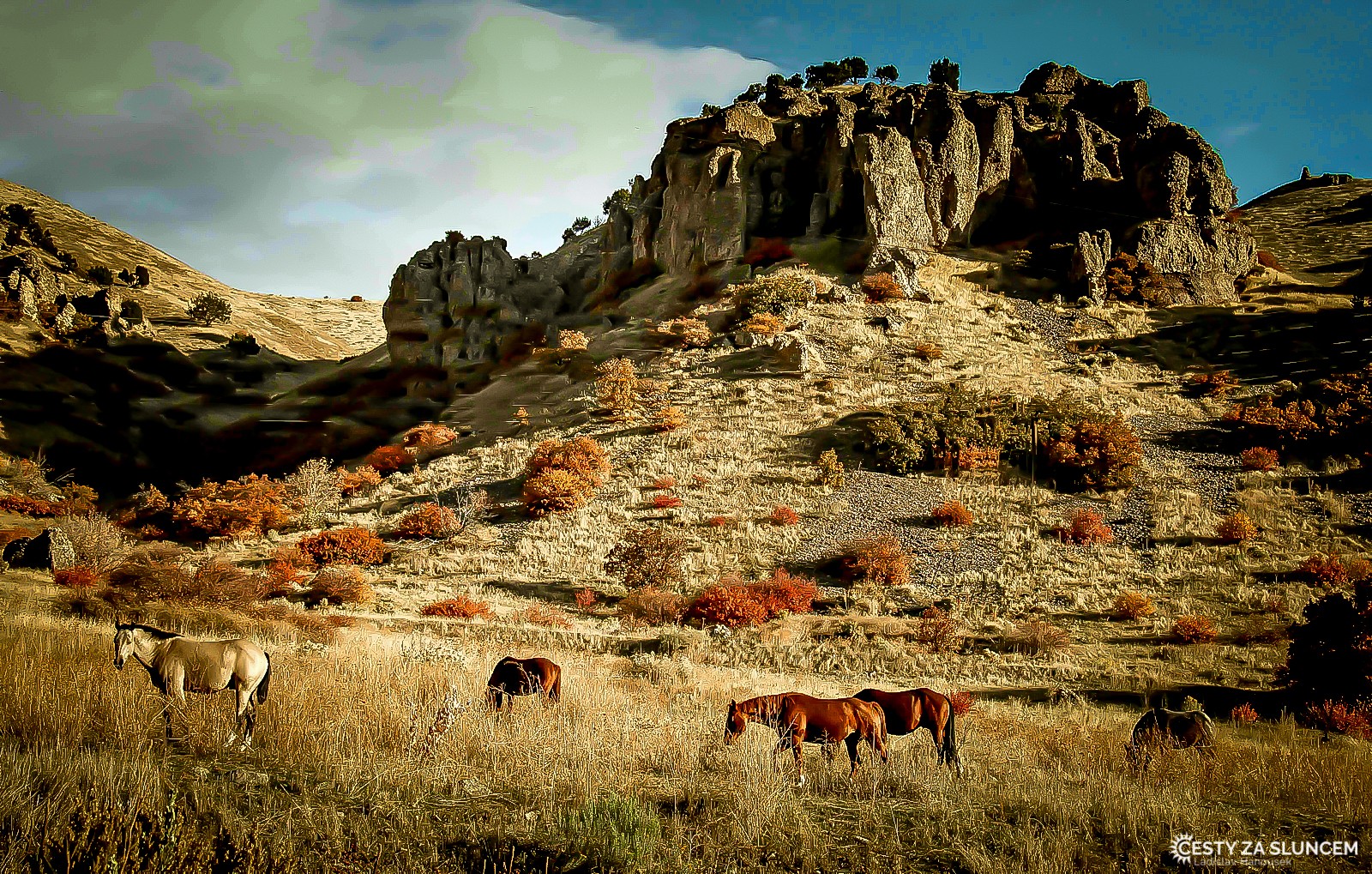 Divocí koně ve Skalistých horách. - Ladislav Hanousek, Ostatní z Utahu