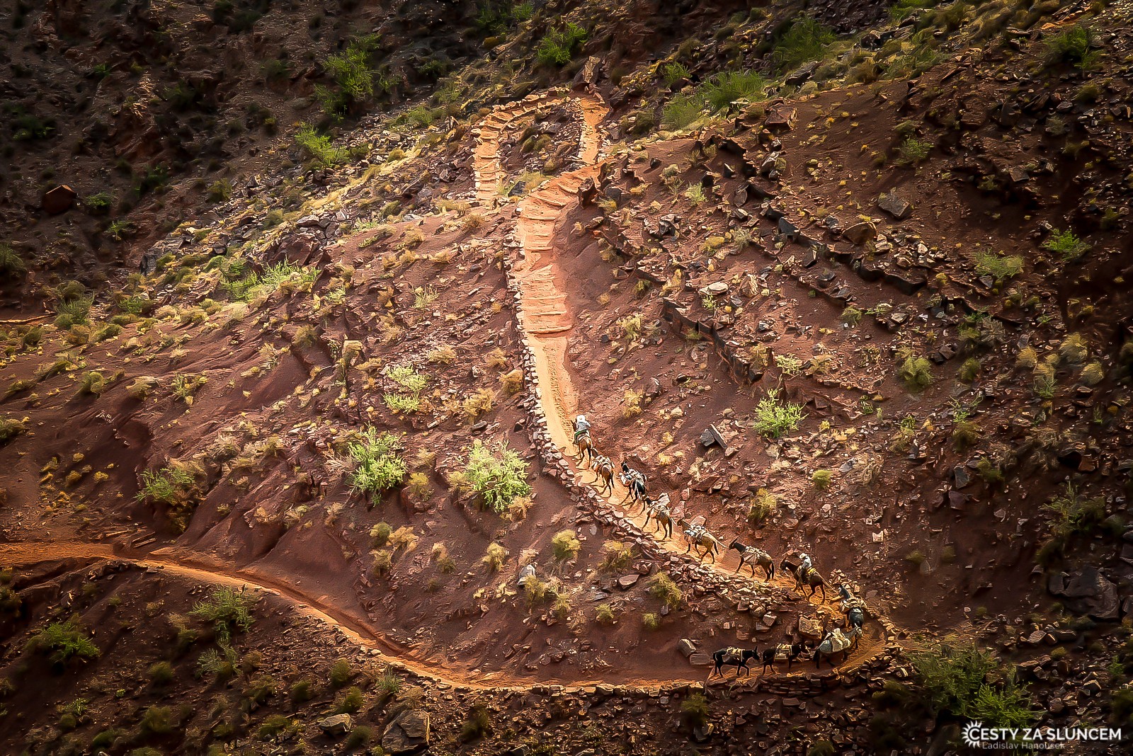 South Kaibab Trail je prudší, než  Bright Angel Trail, ale je kratší (11,3 km), proto vidíme koňské karavany zejména zde - Ladislav Hanousek, Grand Canyon NP - Cesta k řece Colorado