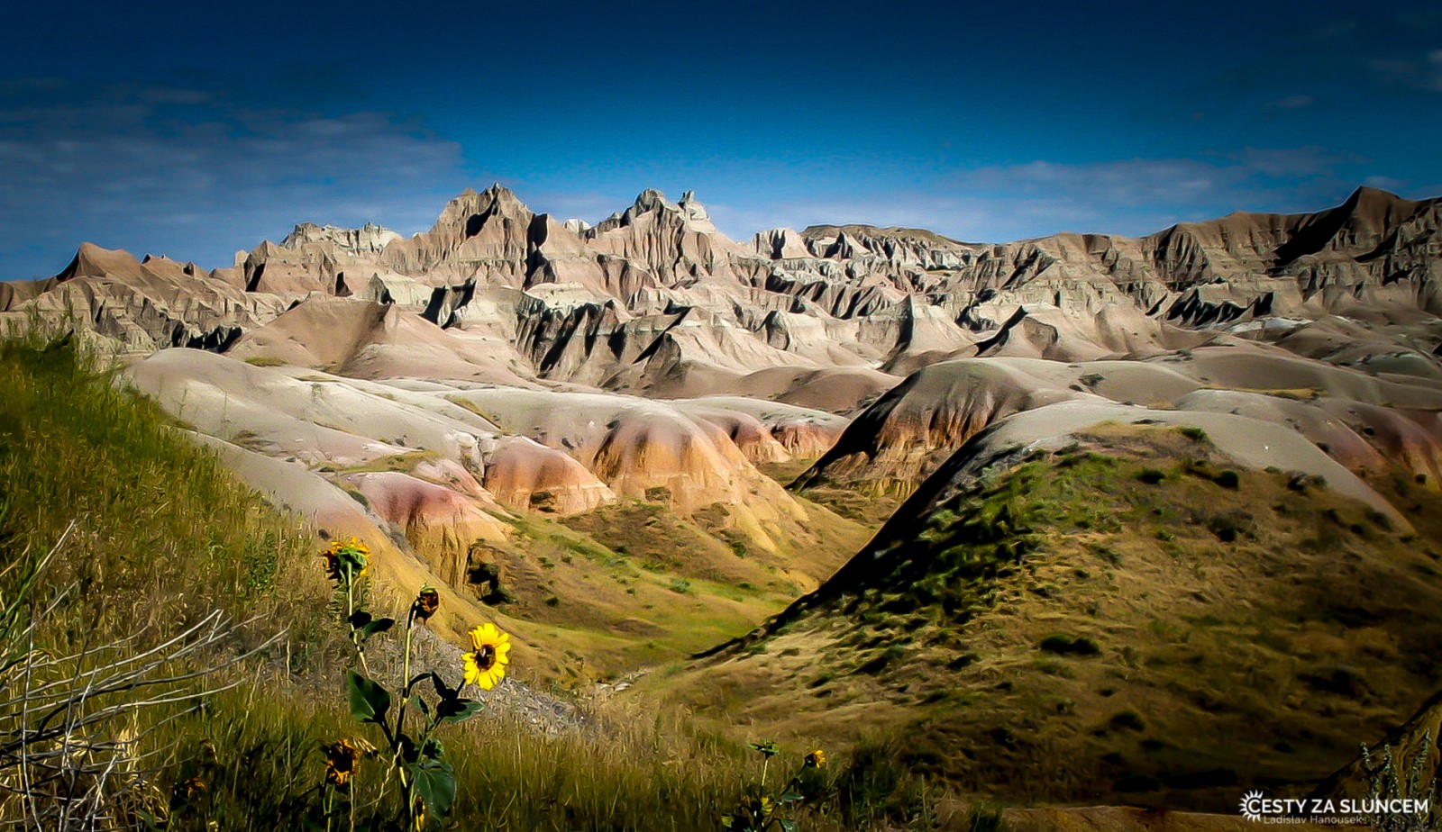 Zdá se to téměř nemožné, ale sporá vegetace tu poskytuje potravu pro ovce tlustorohé, psouny, fretky či lišky - Ladislav Hanousek, Badlands NP