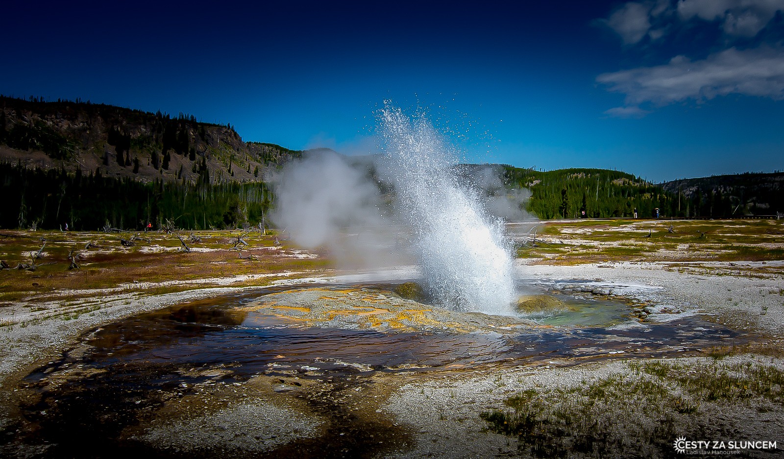Cliff Geyser v oblasti Black Sands Basin - Ladislav Hanousek, Yellowstone NP