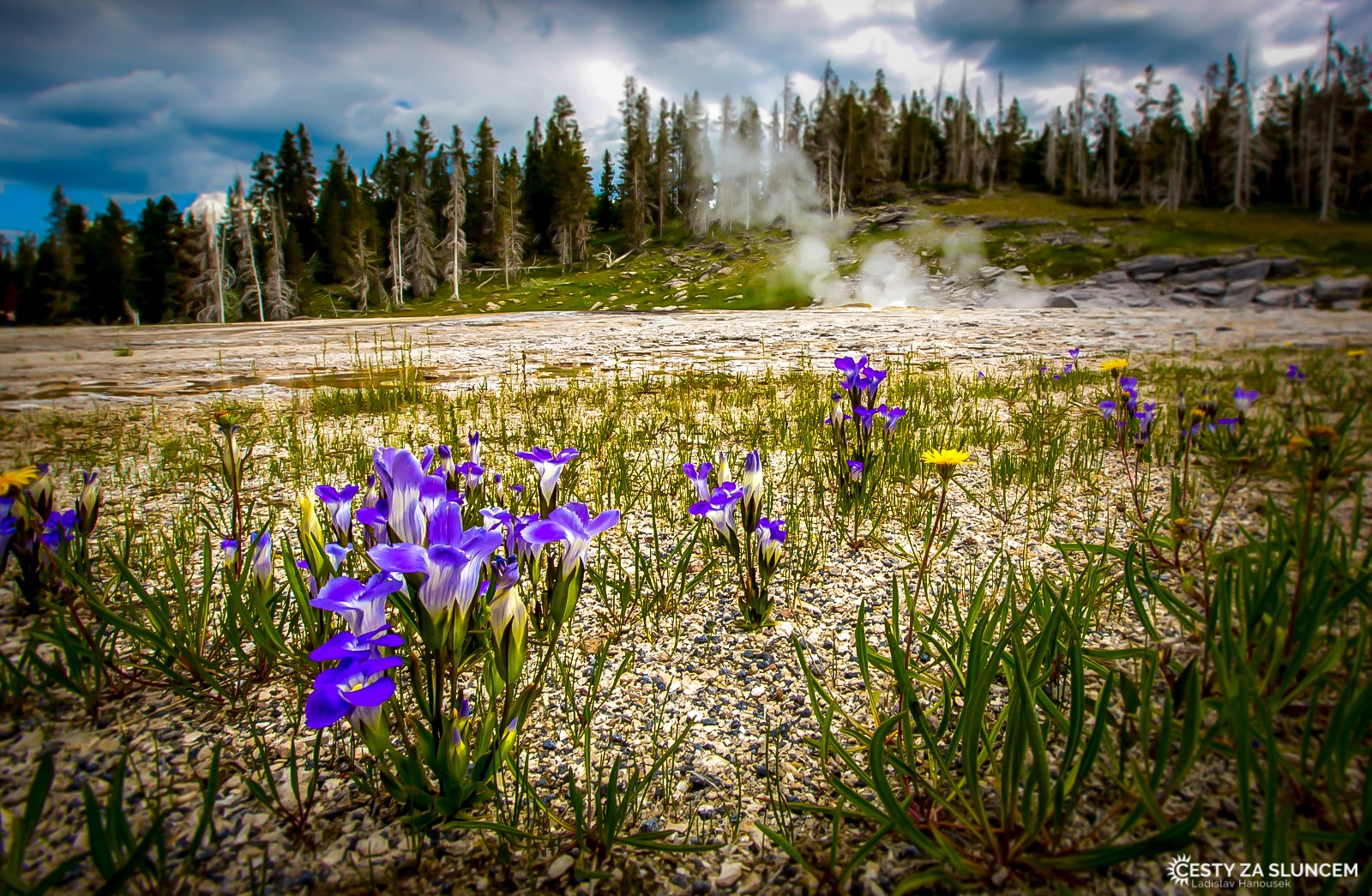 Grand Geyser. Mezi jednotlivými erupcemi vychází z gejzíru jen malý proužek páry - Ladislav Hanousek, Yellowstone NP