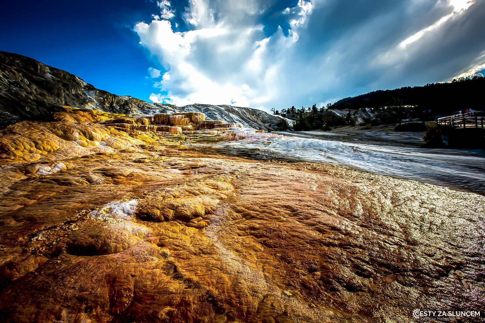 Travertinové terasy Upper Terraces Area: oxidy železa a geotermální bakterie zabarvují travertin do žluta až oranžova - Ladislav Hanousek, Yellowstone NP