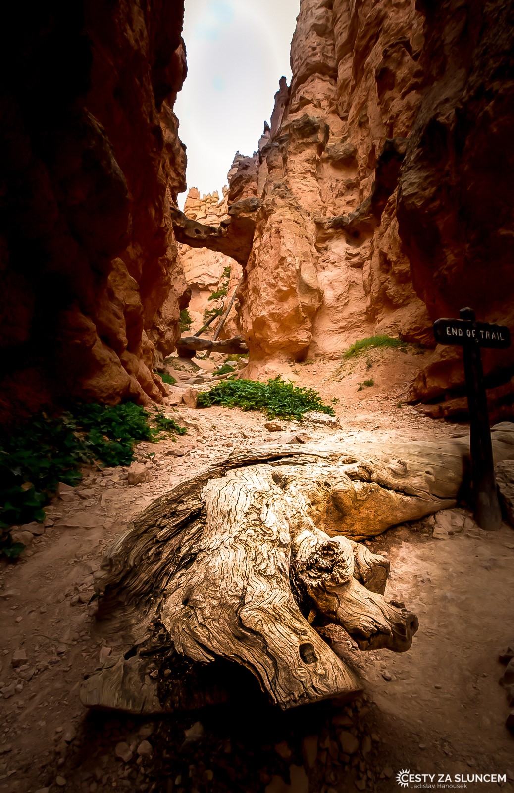 Navajo Loop - polovina okružní cesty - dno kaňonu. - Ladislav Hanousek, Bryce Canyon