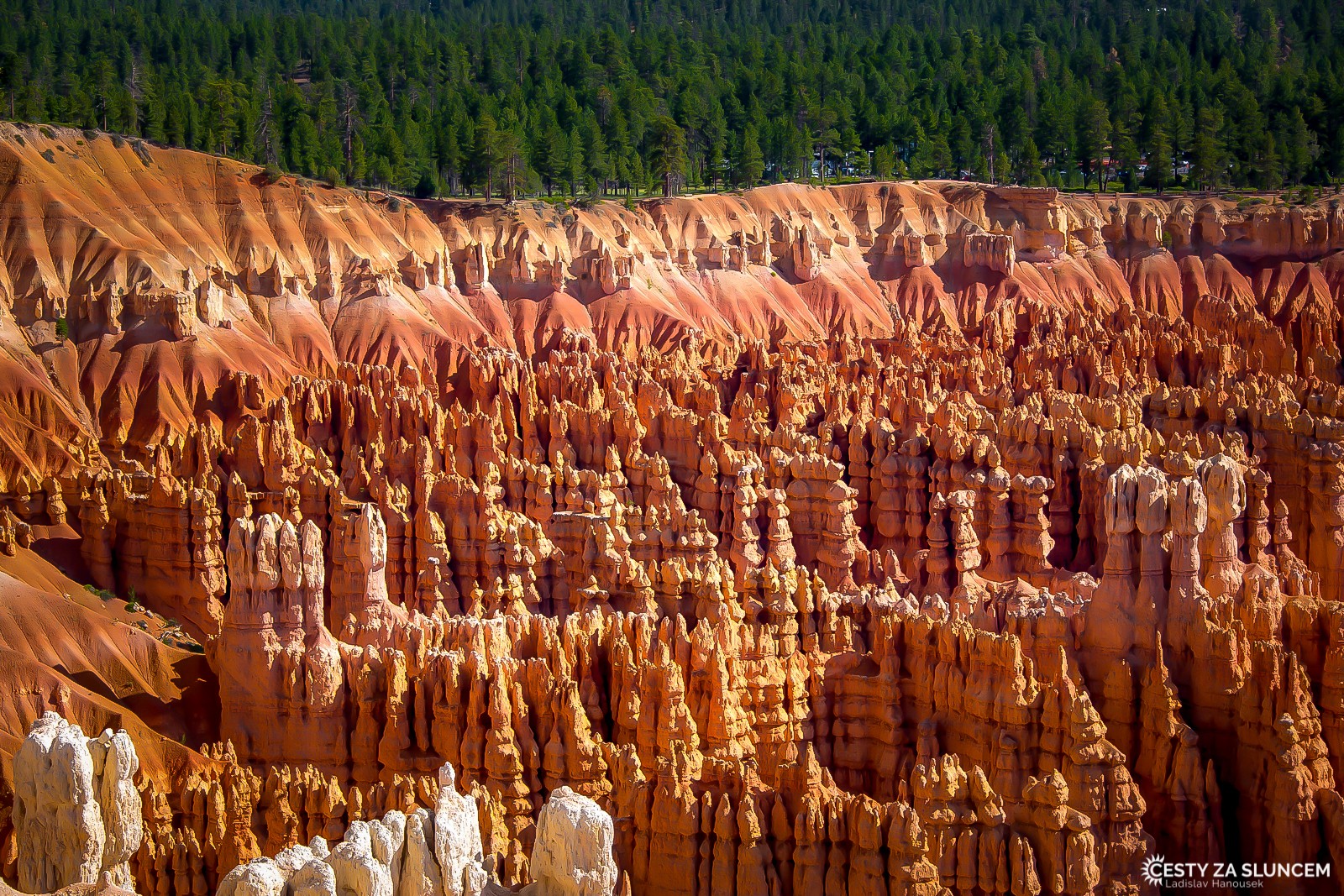 Z nitra Bryce Canyon dobře vidíme Rim Trail vedoucí po horní hraně kaňonu. - Ladislav Hanousek, Bryce Canyon
