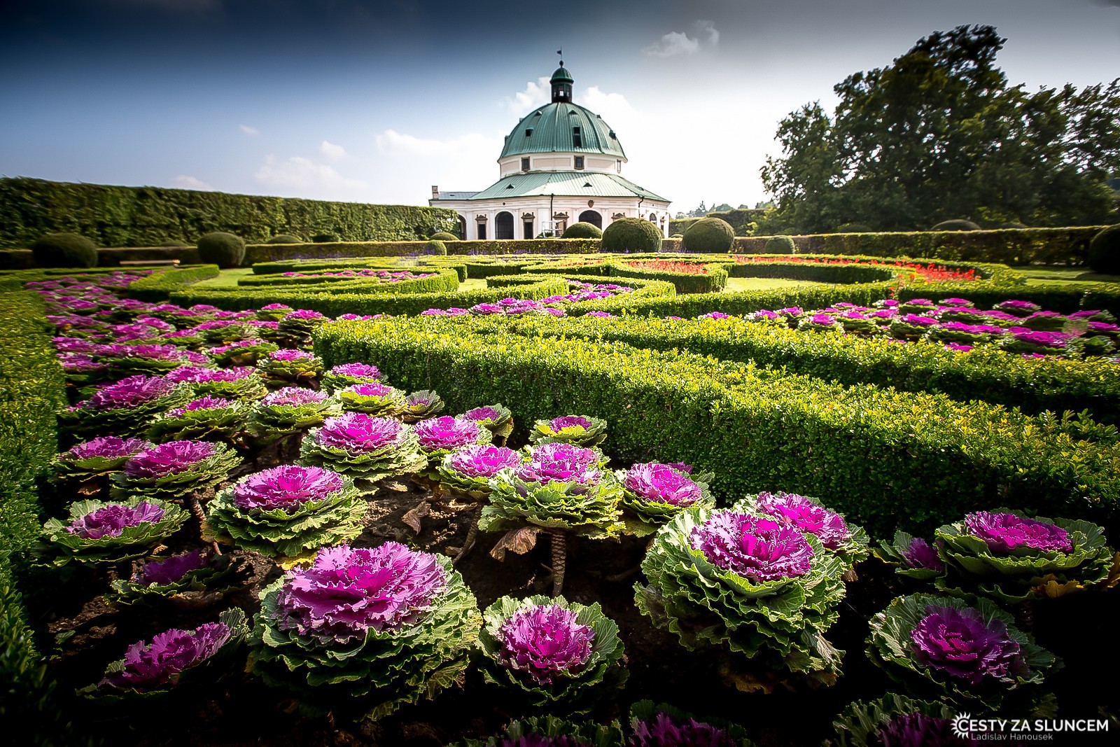 Kroměříž - Květná zahrada - Ladislav Hanousek, Květiny a stromy