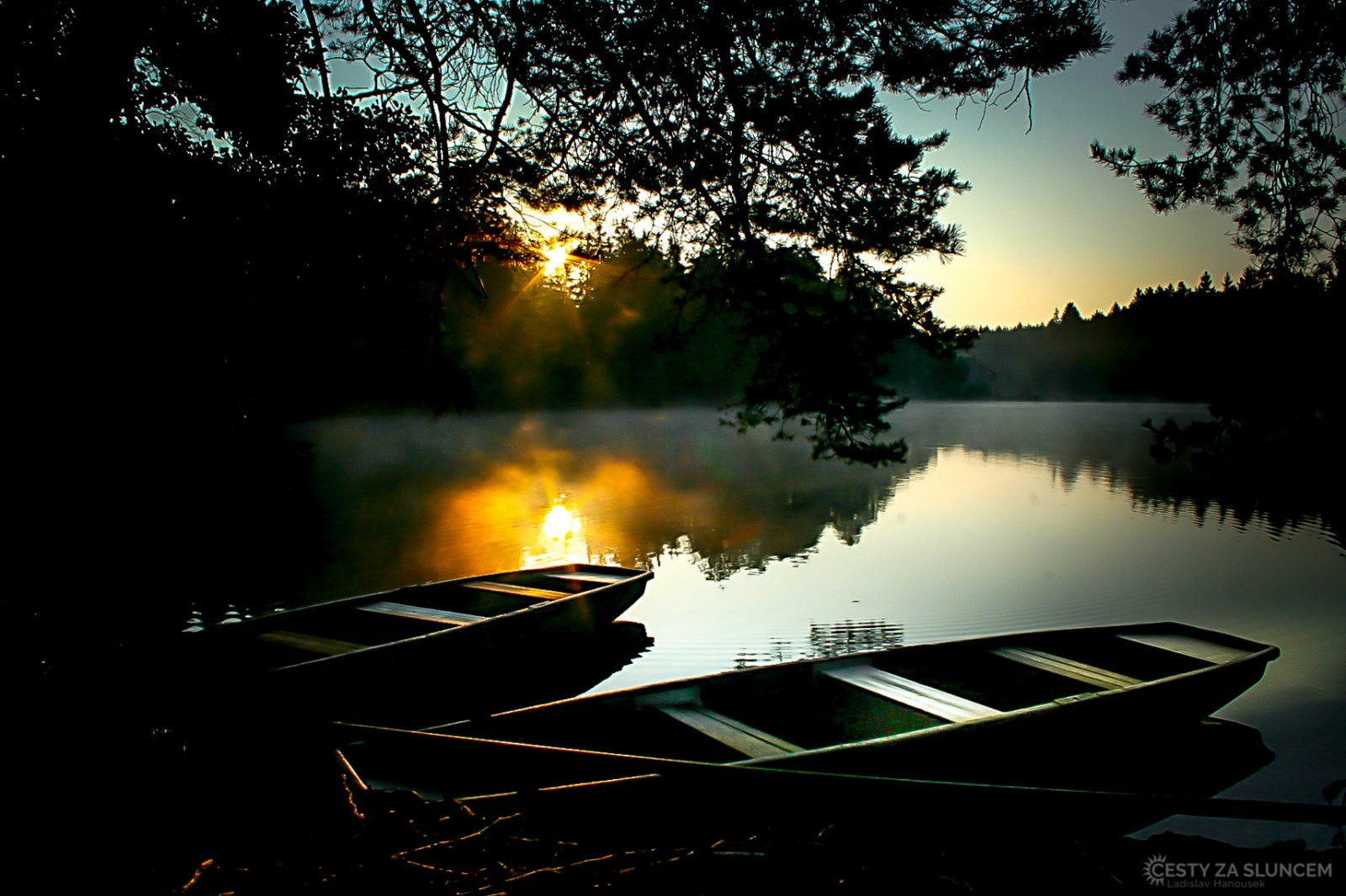 Havlíčkobrodsko - rybník Ředkovák - Ladislav Hanousek, Květiny a stromy