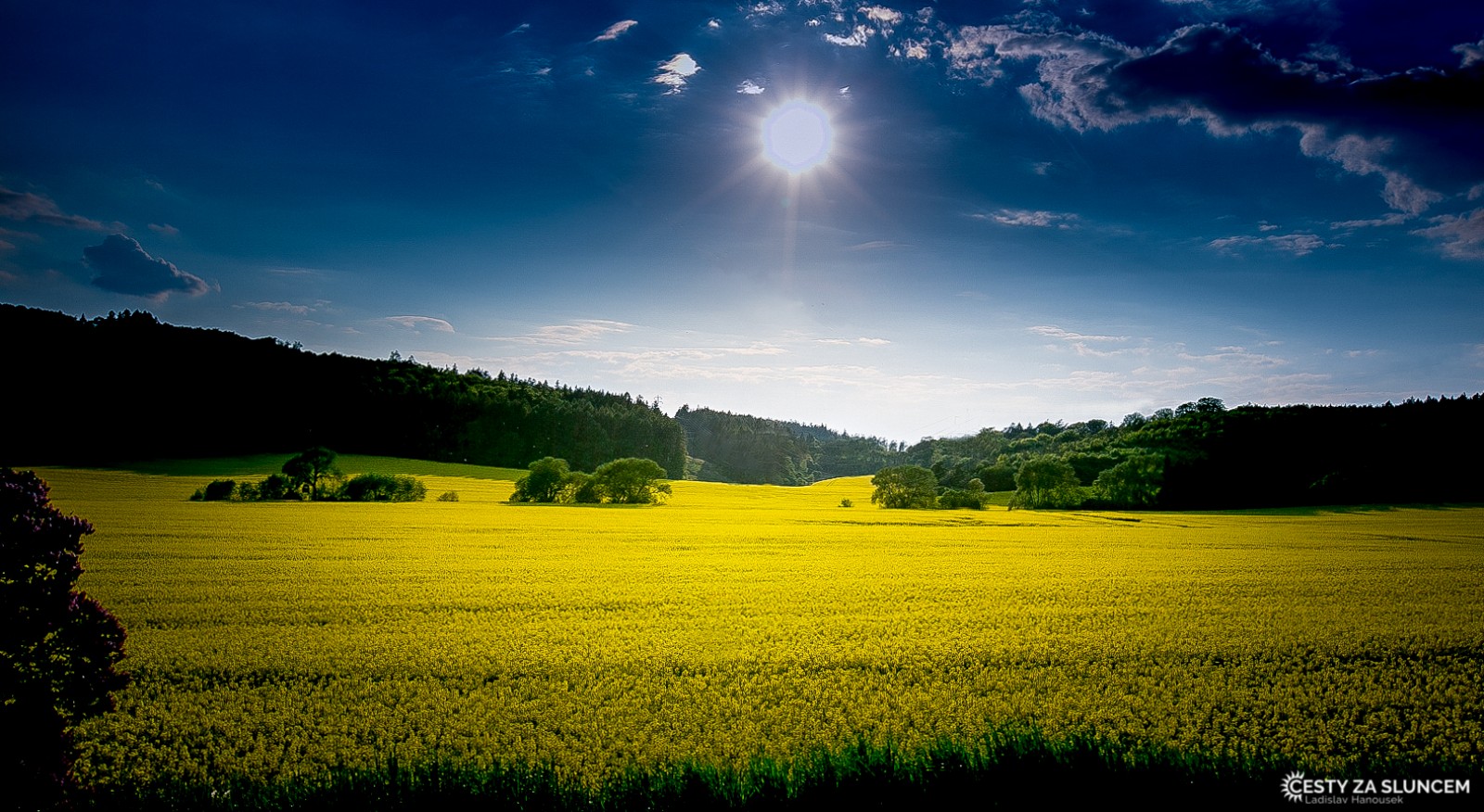 Český ráj - Ladislav Hanousek, Květiny a stromy