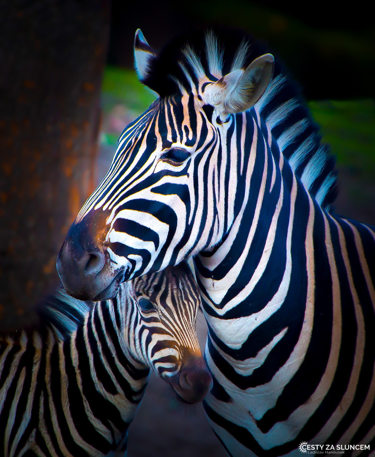 Wroclaw - Ladislav Hanousek, Evropa