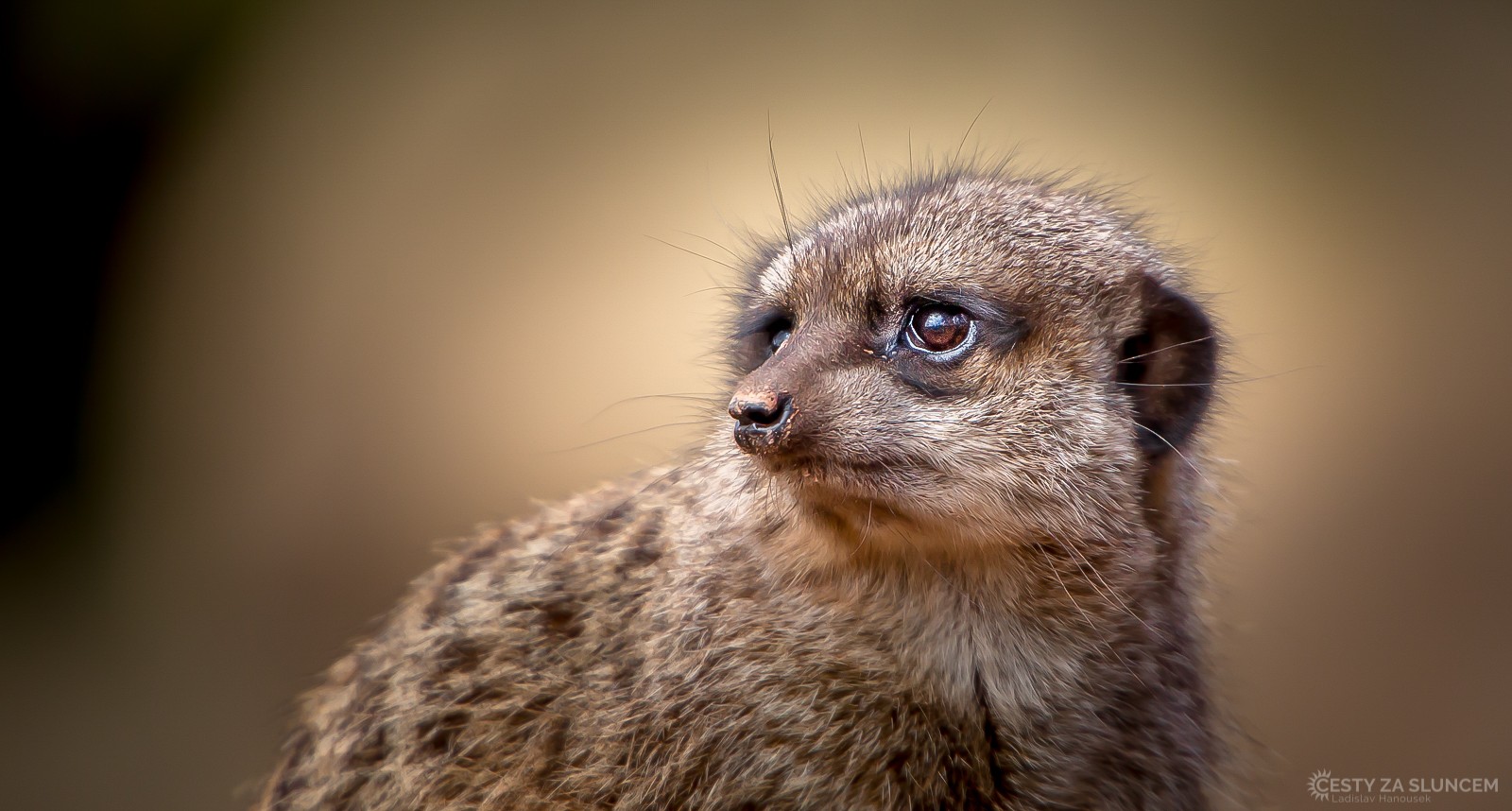 Lipsko - Ladislav Hanousek, Evropa