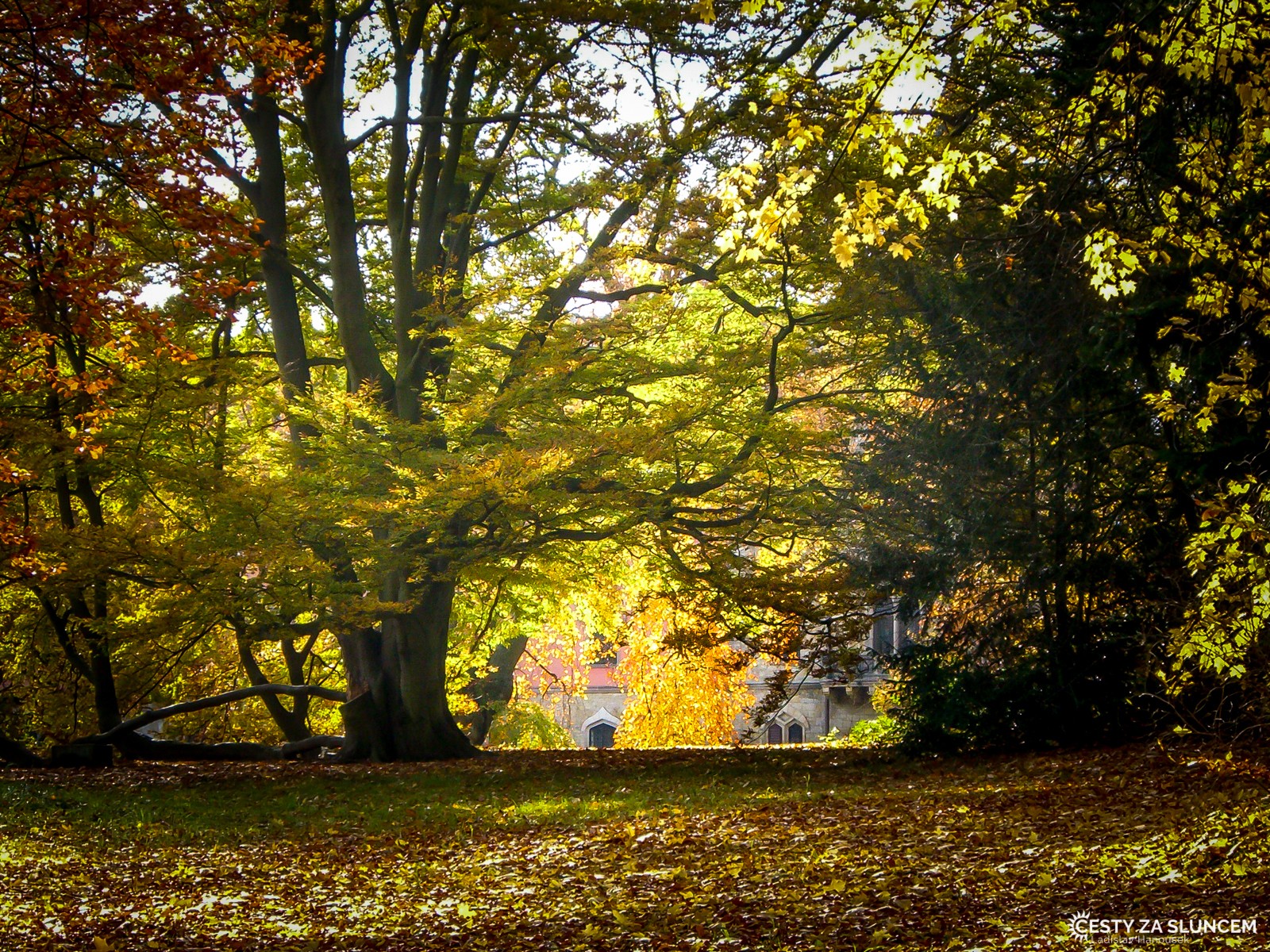 Sychrov - zámecký park - Ladislav Hanousek, Hrady a zámky v Čechách