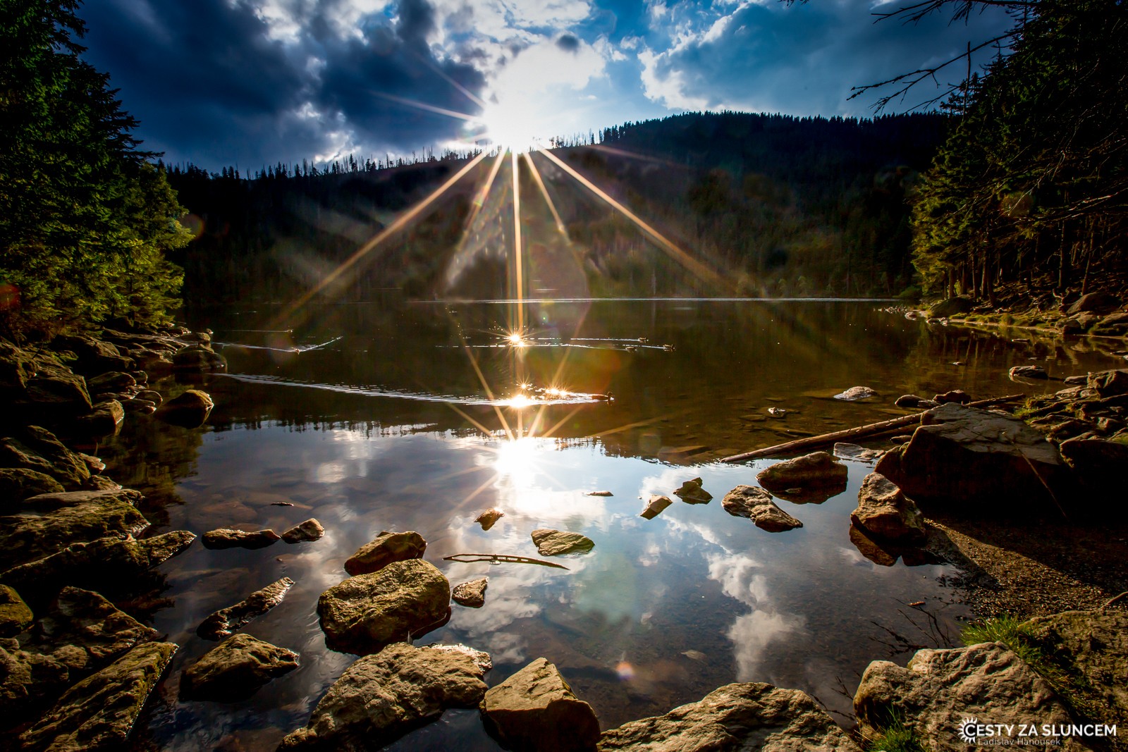 Šumava - Čertovo jezero - Ladislav Hanousek, Květiny a stromy