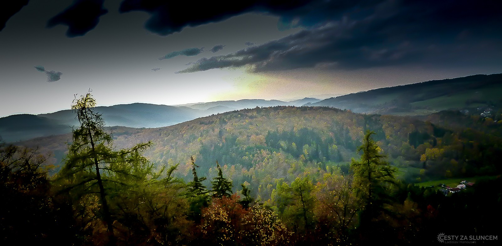 Jeseníky - Ladislav Hanousek, Květiny a stromy