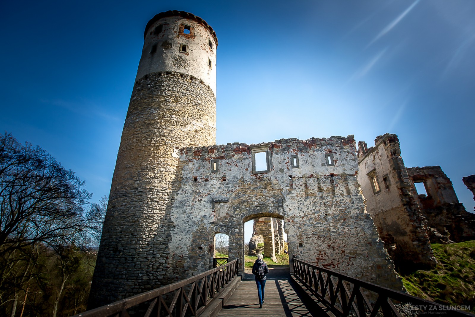 Zvířetice - Ladislav Hanousek, Hrady a zámky v Čechách