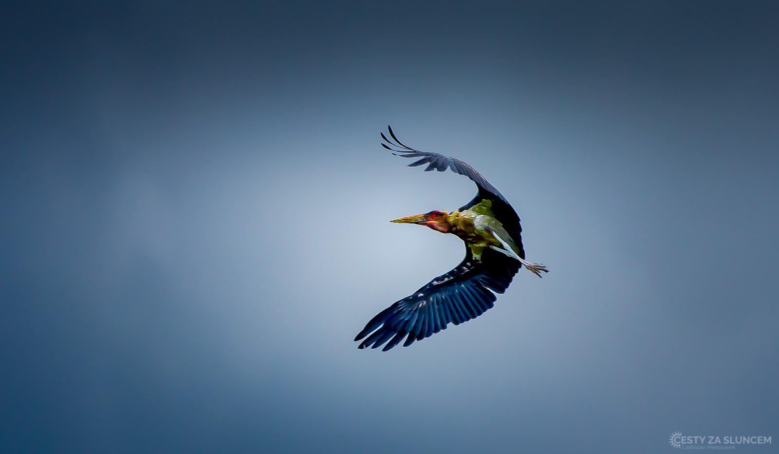 Národní park Amboseli - Ladislav Hanousek, Keňa