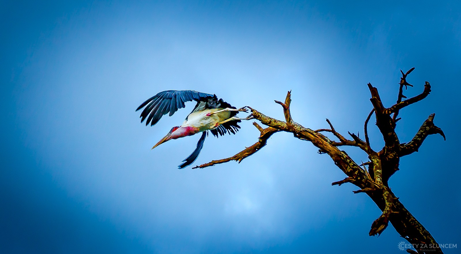 Národní park Amboseli - Ladislav Hanousek, Keňa