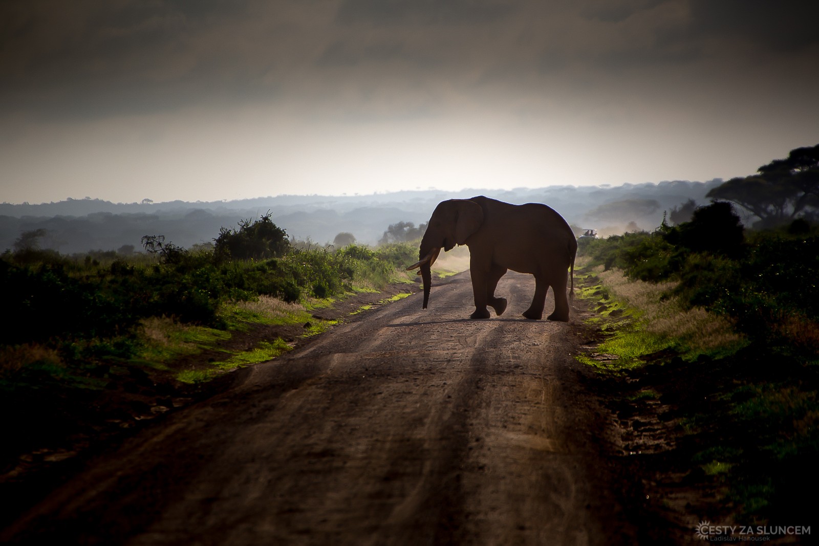 NP Masai Mara - poslední večer v národním parku - Ladislav Hanousek, Keňa