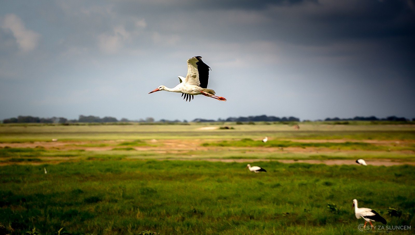 Národní park Nakuru - Ladislav Hanousek, Keňa