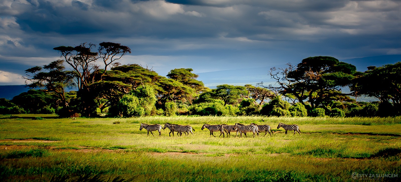 Národní park Amboseli - Ladislav Hanousek, Keňa