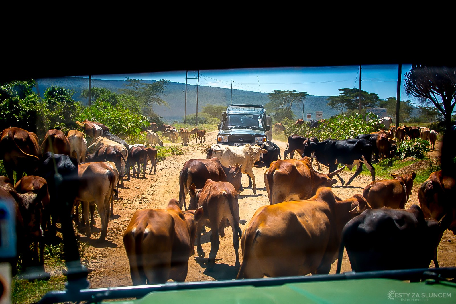 Cesta z NP Amboseli do Nairobi - Ladislav Hanousek, Keňa