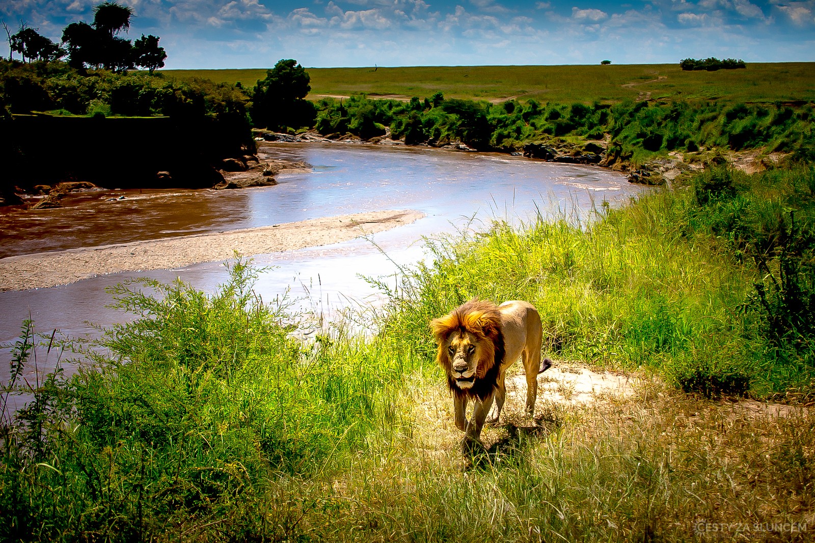 Řeka Mara v NP Masai Mara - Ladislav Hanousek, Keňa