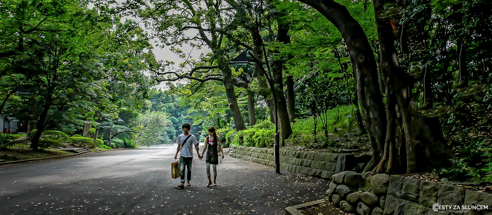 Červenec je pro návštěvu Japonska velmi vhodným měsícem. Vedle downtown a moderních budov jsou v Tokiu i krásné parky a zahrady, toto je cesta do parku Ueno. - Ladislav Hanousek, Japonsko