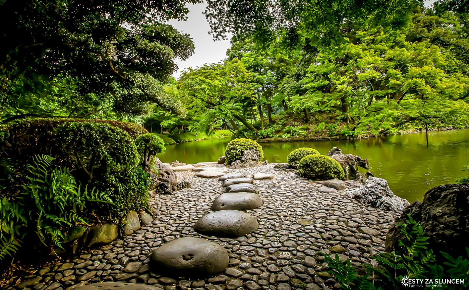 Tokio - zahrada Košikava Korakuen. - Ladislav Hanousek, Japonsko