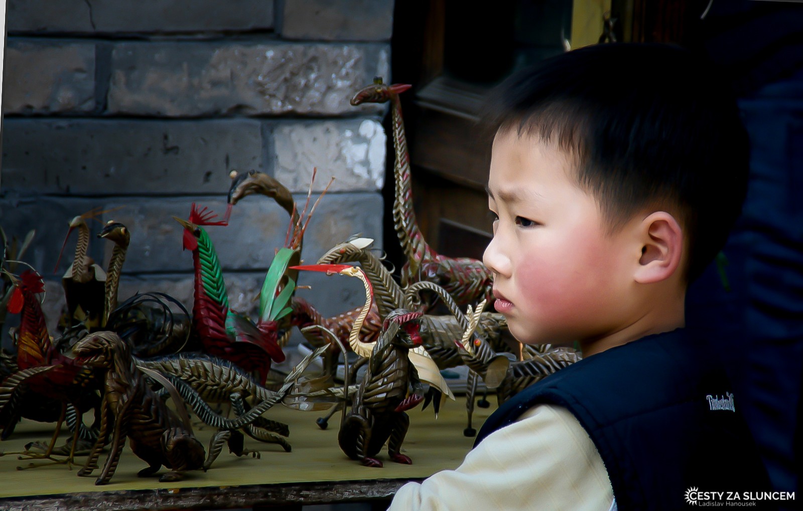 Návštěvnící v ZOO v Pekingu. - Ladislav Hanousek, Čína