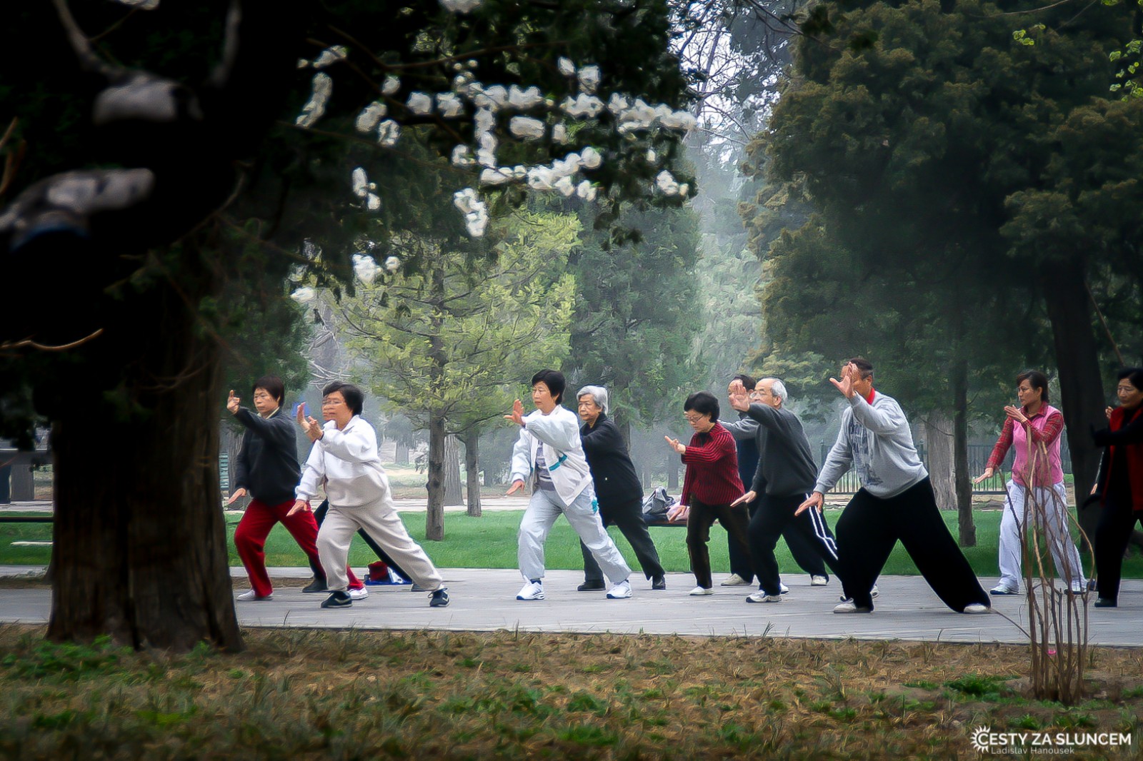 Peking - park u Chrámu nebes: Asijské cvičení čchi-kung je starší než náš letopočet. Je založené na správném dechu a proudění energie v těle a Číňané jej provozují často ve skupinách. Každý den uvidíme několik takových skupin. - Ladislav Hanousek, Čína