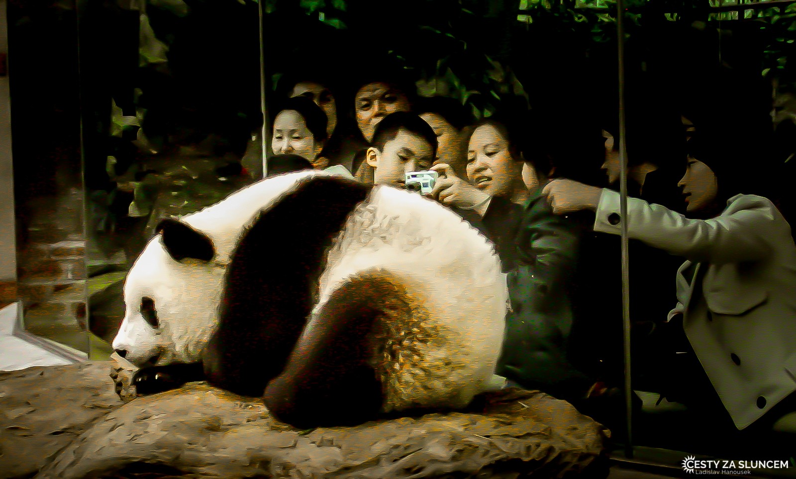 Peking - zoologická zahrada - Ladislav Hanousek, Čína