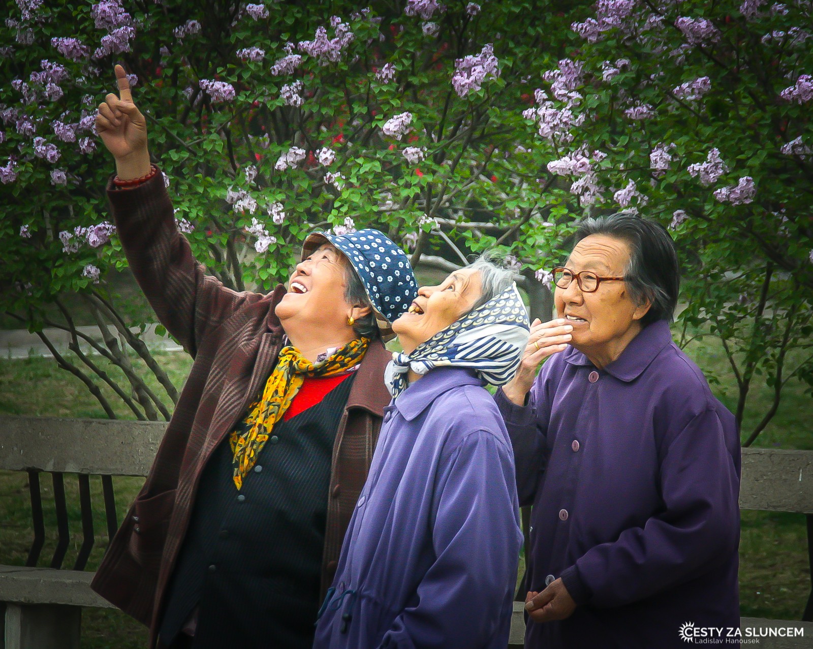 Pouštění draků v pekingské zoologické zahradě. - Ladislav Hanousek, Čína
