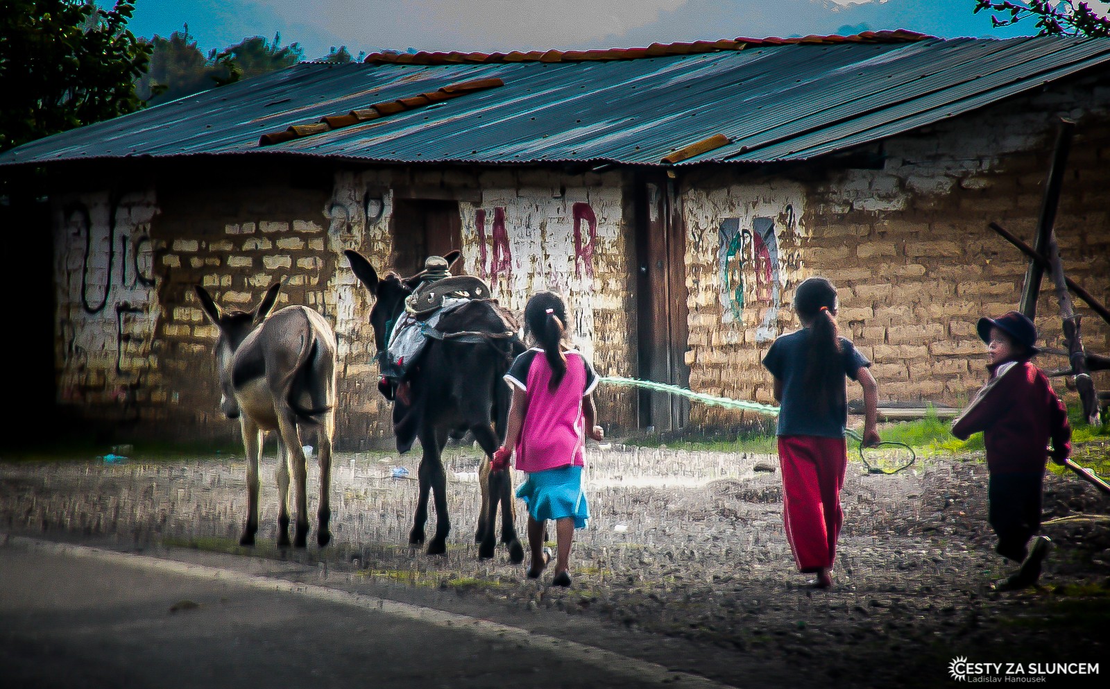 Venkovská usedlost mezi městy Chichen Itzá a Tulum. - Ladislav Hanousek, Mexiko