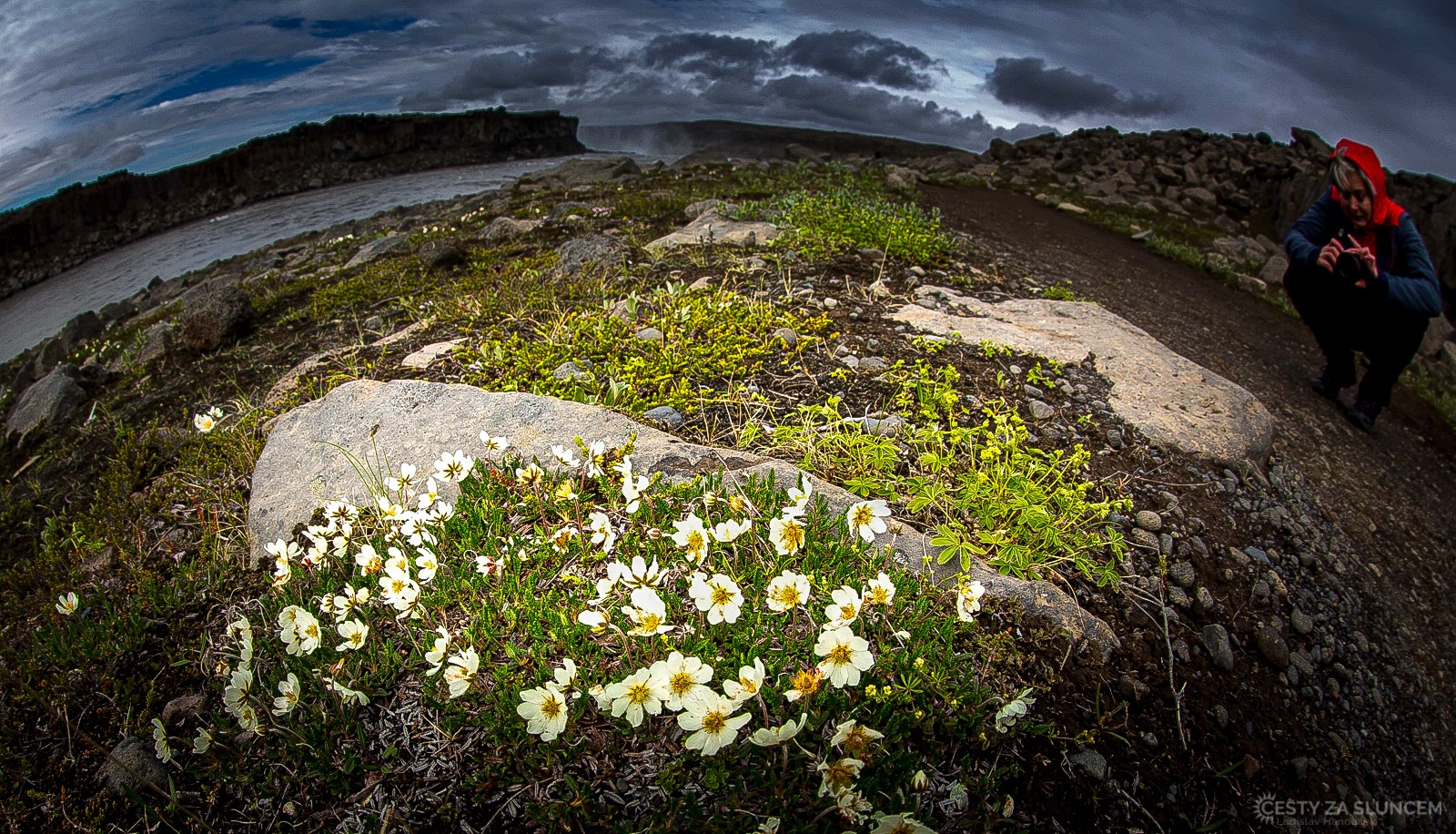Louky u vodopádu Selfoss. Léto je na Islandu krásné, je však bohužel krátké a trochu studené... - Ladislav Hanousek, Island