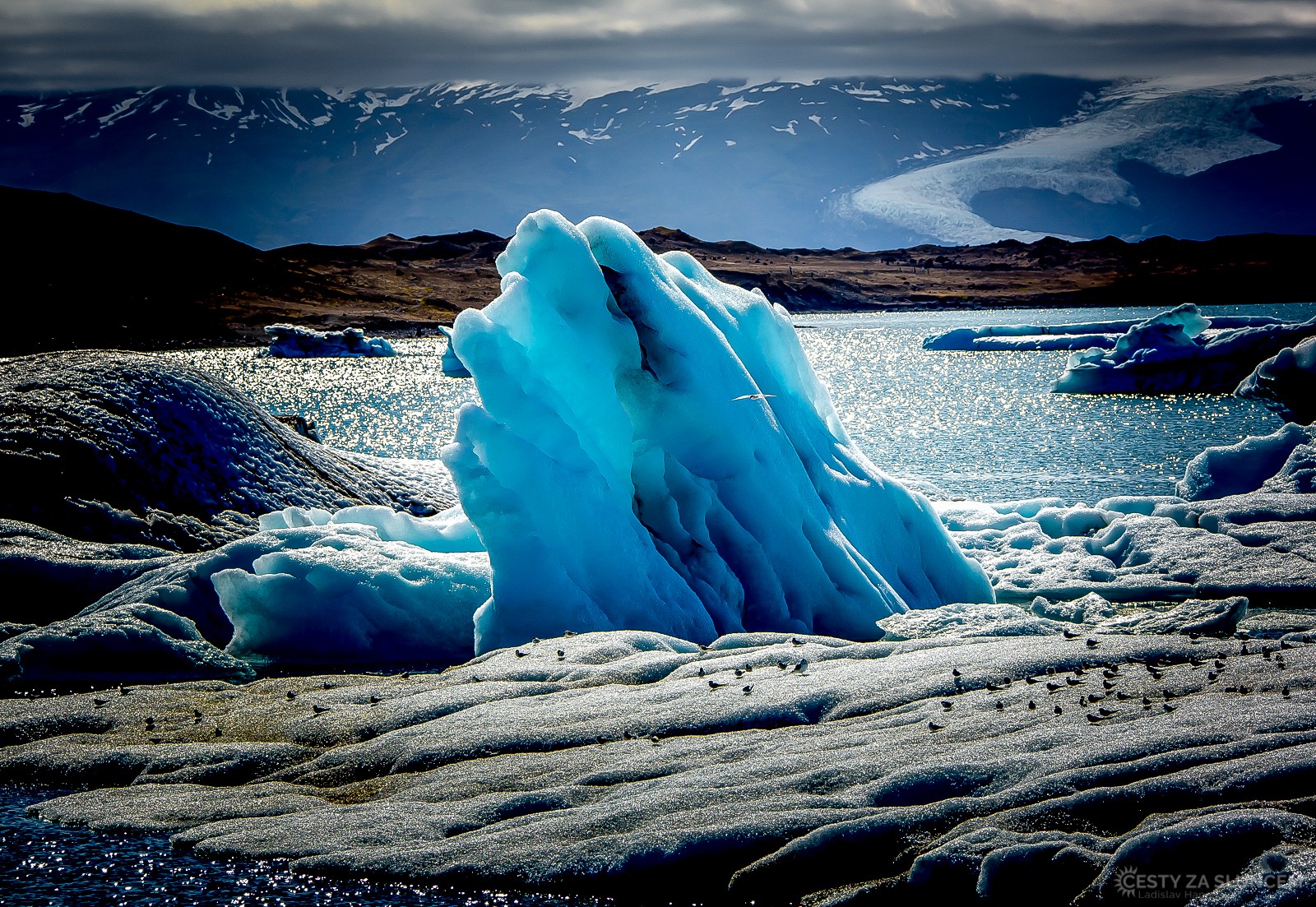 Ledovcové jezero Jökulsárlón - Ladislav Hanousek, Island