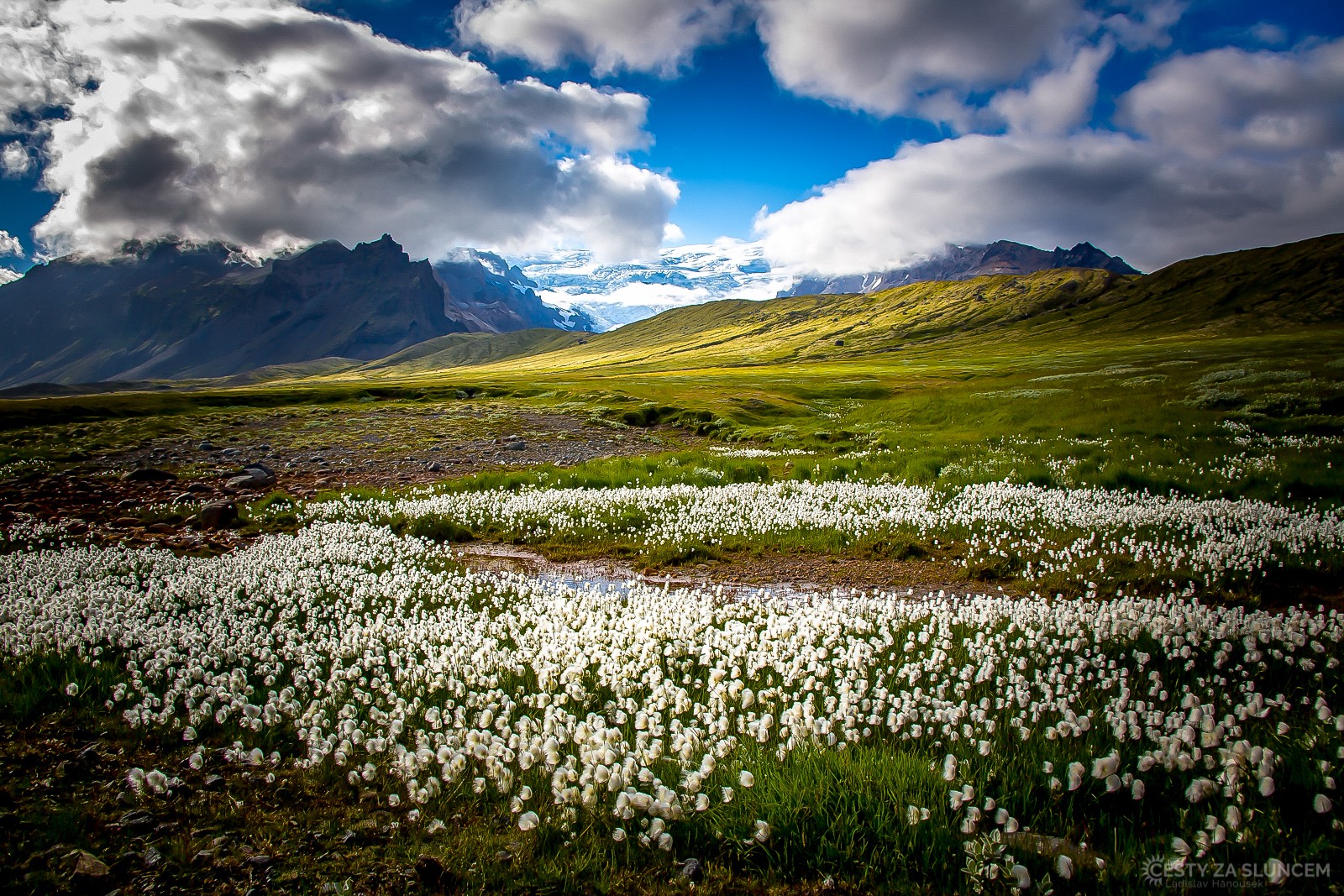 Louky pod ledovcem Breiðamerkurjökull, západně od jezera Jökulsárlón. - Ladislav Hanousek, Island