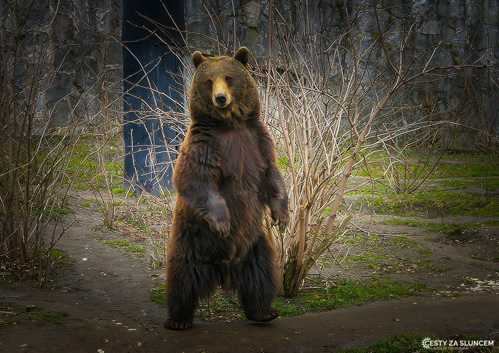 Wroclaw - Ladislav Hanousek, Evropa