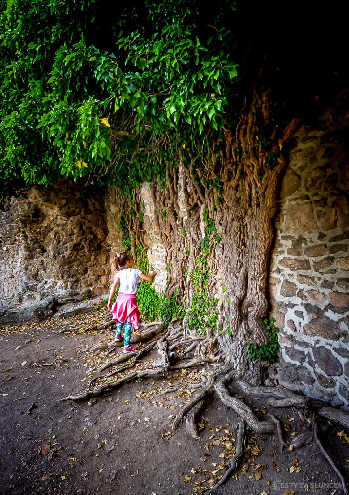 Hrad Chojnik - Ladislav Hanousek, Polsko