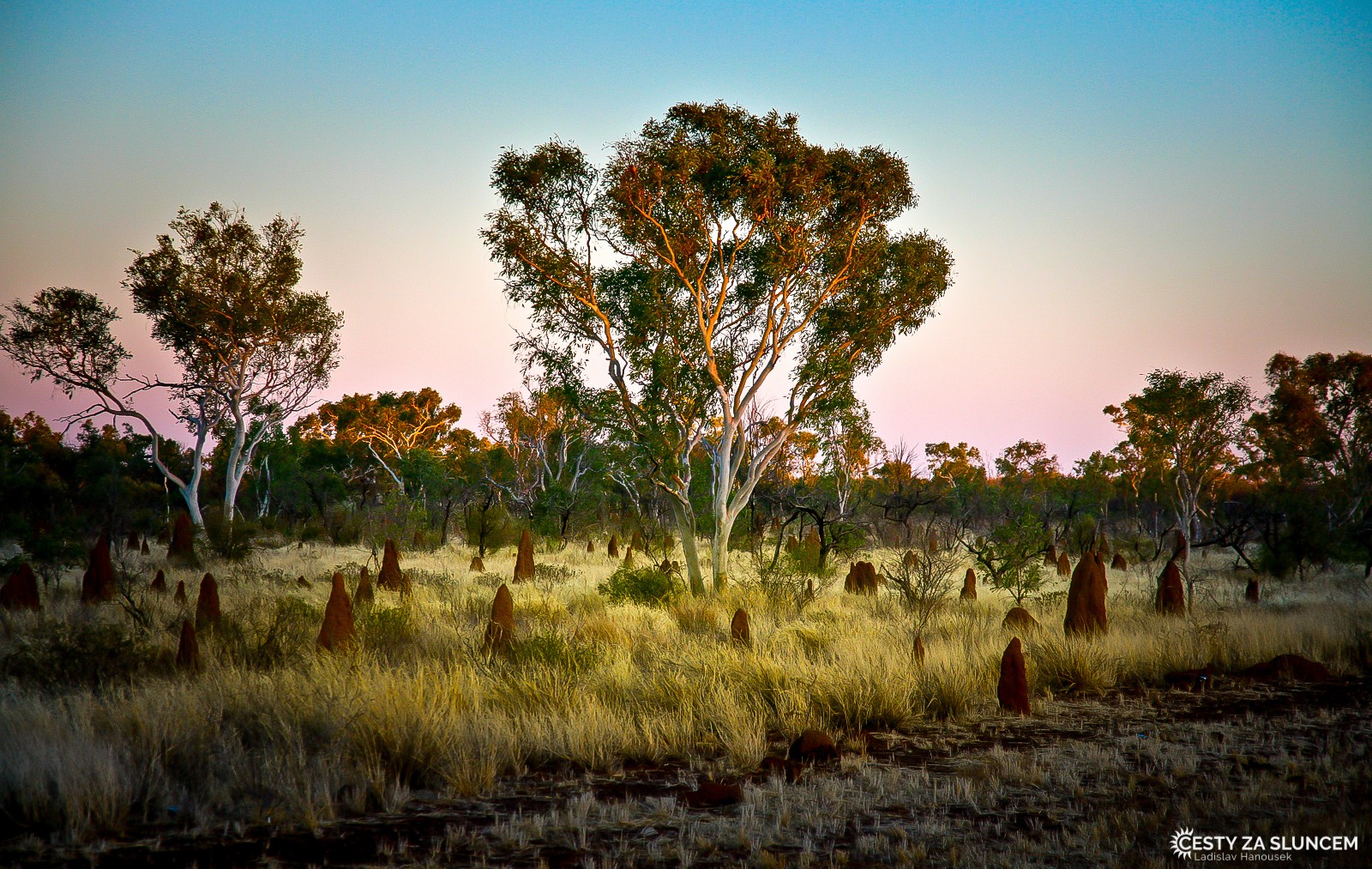 Termitiště podél Stuart Highway vedoucí z Darwinu na jih k Uluru - Ladislav Hanousek, Střední Austrálie
