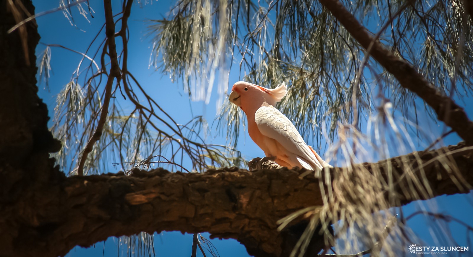 MacDonnell Ranges - Ladislav Hanousek, Střední Austrálie