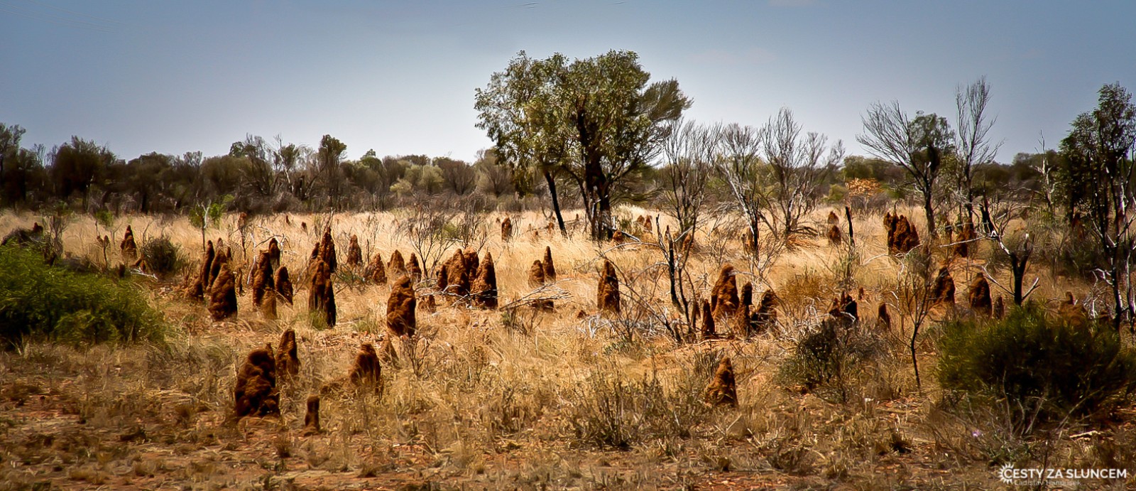 Termitiště podél Stuart Highway - Ladislav Hanousek, Střední Austrálie