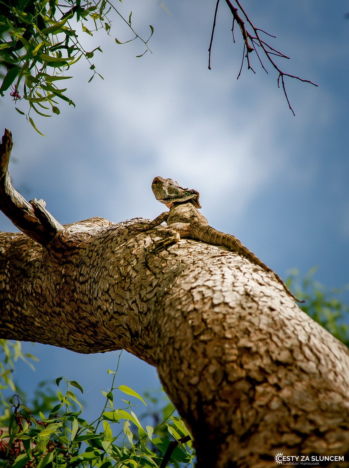 Toolonga Nature Reserve - Ladislav Hanousek, Západní Austrálie
