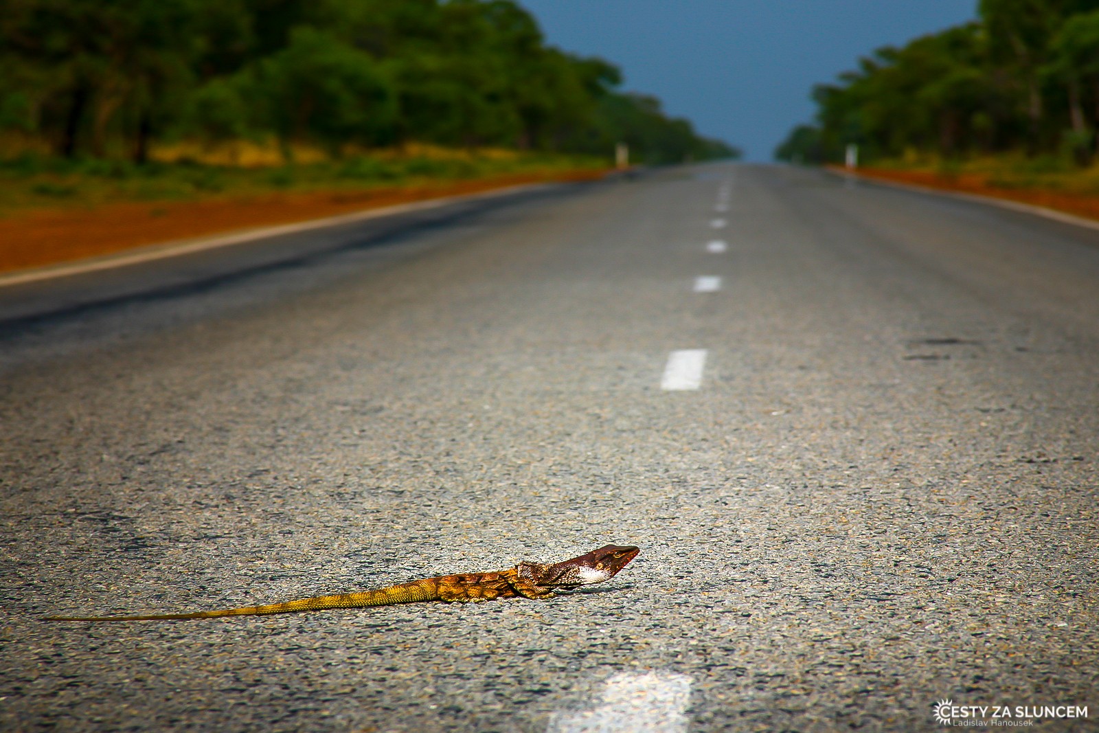 Cesta do Yanchep National Park - Ladislav Hanousek, Západní Austrálie