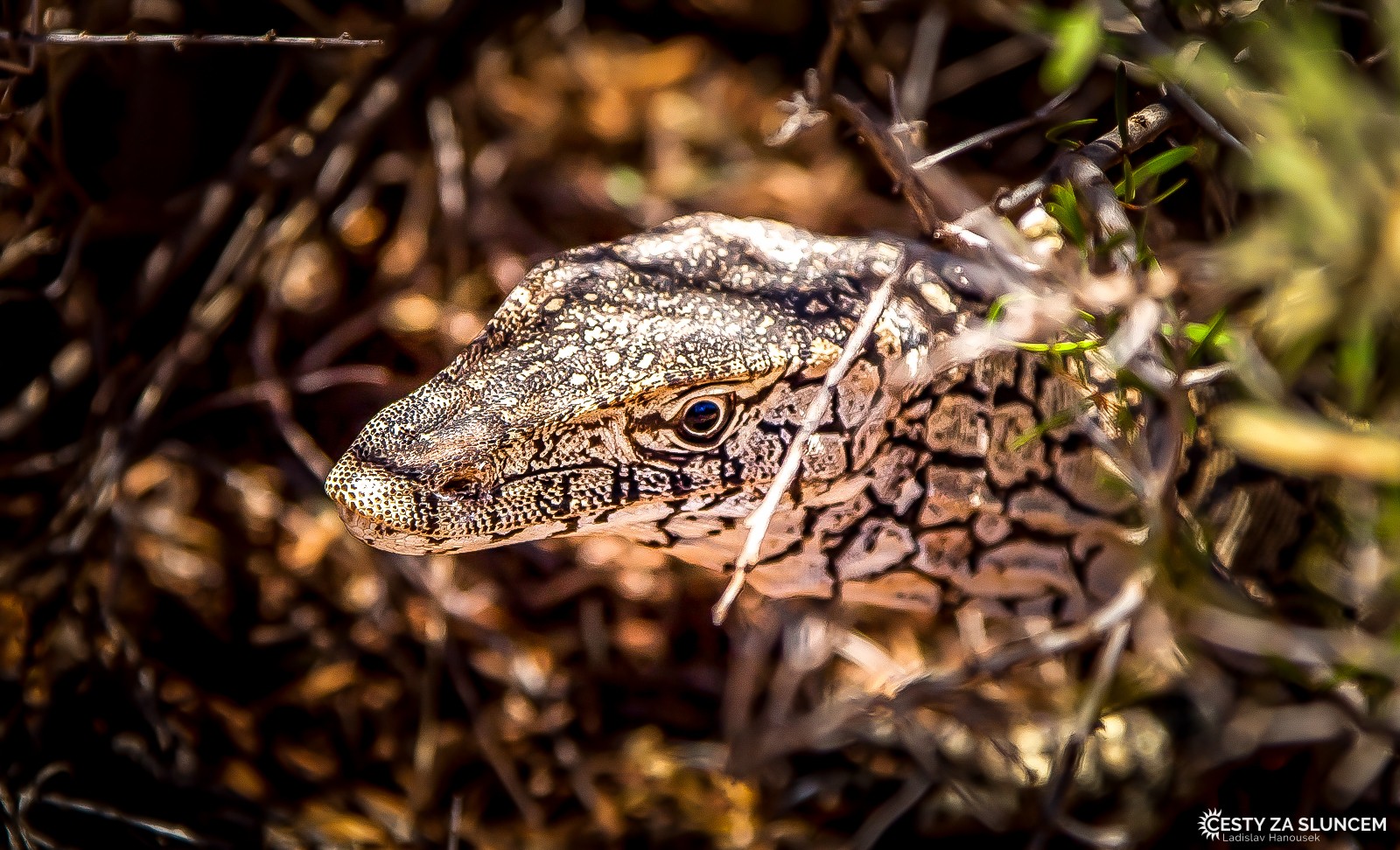 Cesta z Undara Volcanic NP do centra Austrálie k Uluru - Ladislav Hanousek, Východní Austrálie