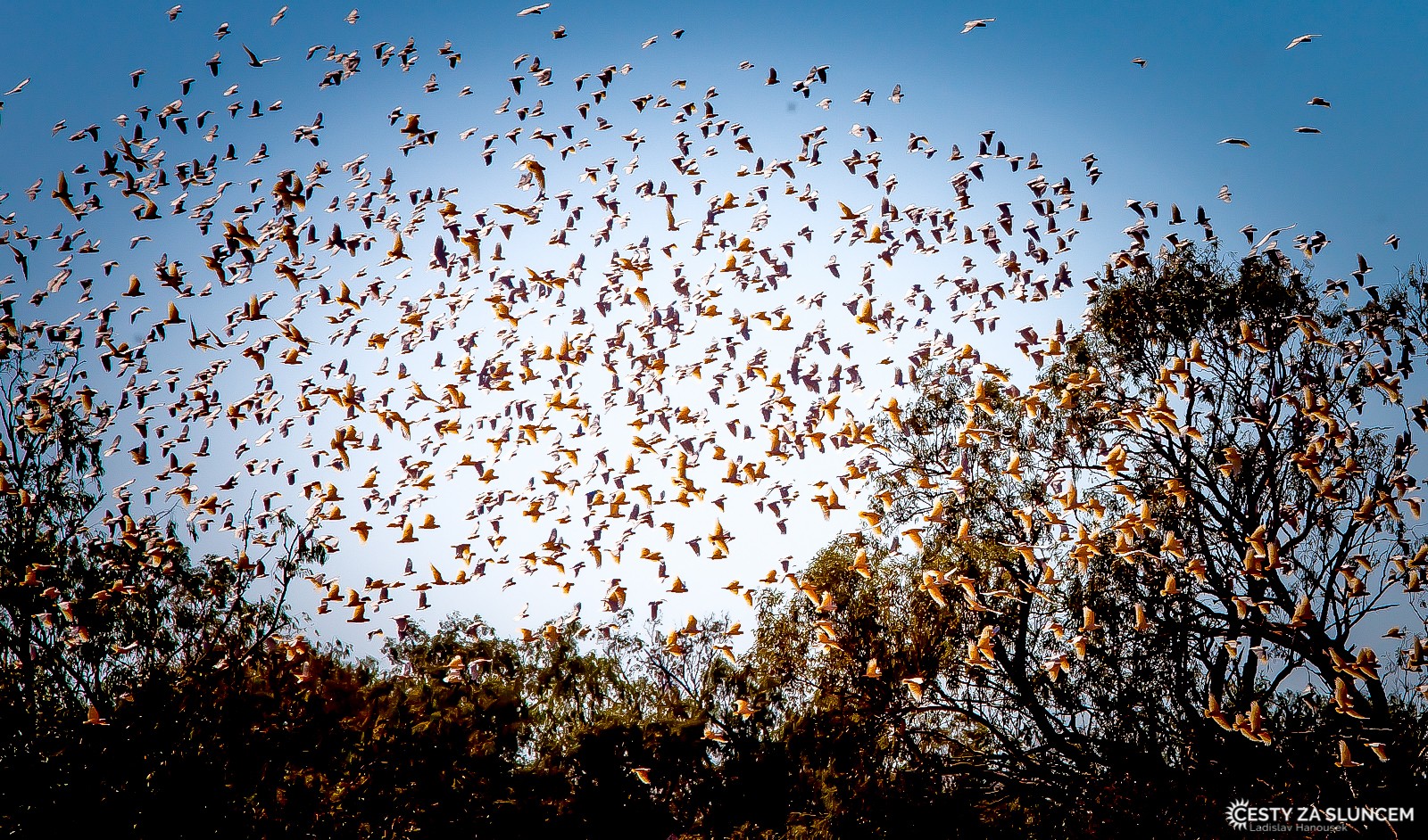 Cesta z Undara Volcanic NP do centra Austrálie k Uluru - Ladislav Hanousek, Východní Austrálie