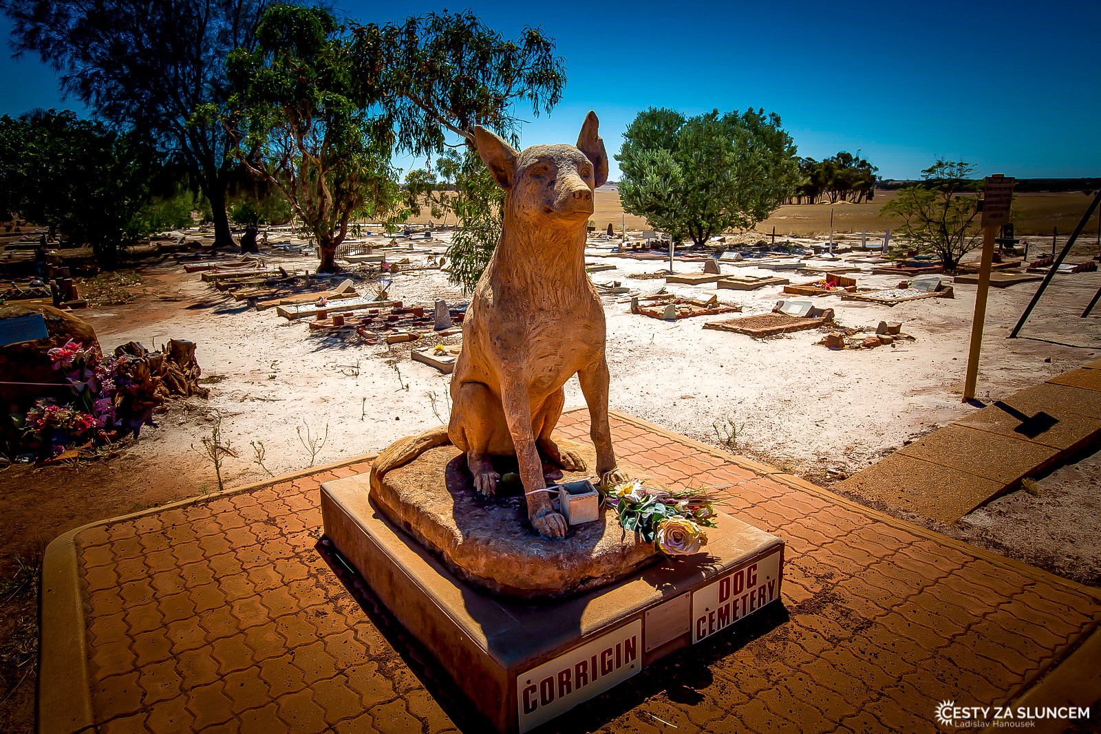 Psí hřbitov v Corrigin poblíž Perthu - Ladislav Hanousek, Západní Austrálie