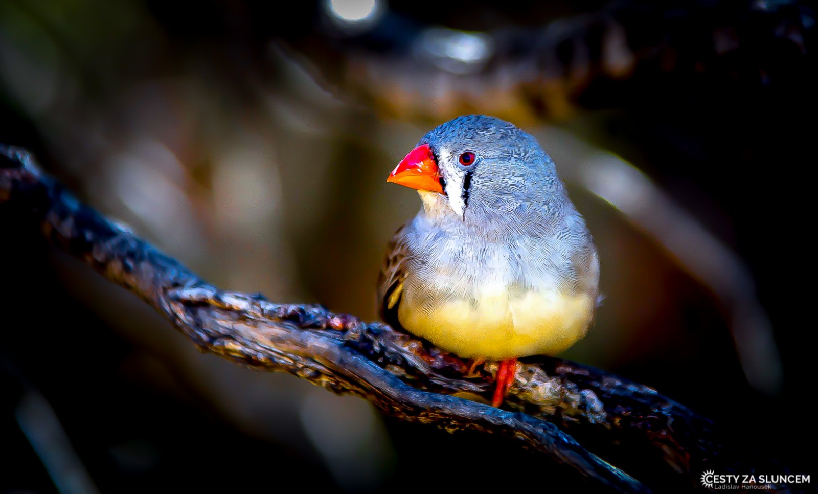 Kalbarri - Rainbow Jungle - Ladislav Hanousek, Západní Austrálie