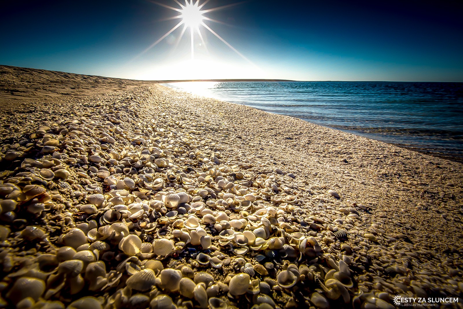 Shell Beach - Mušličková pláž u Denhamu - Ladislav Hanousek, Západní Austrálie