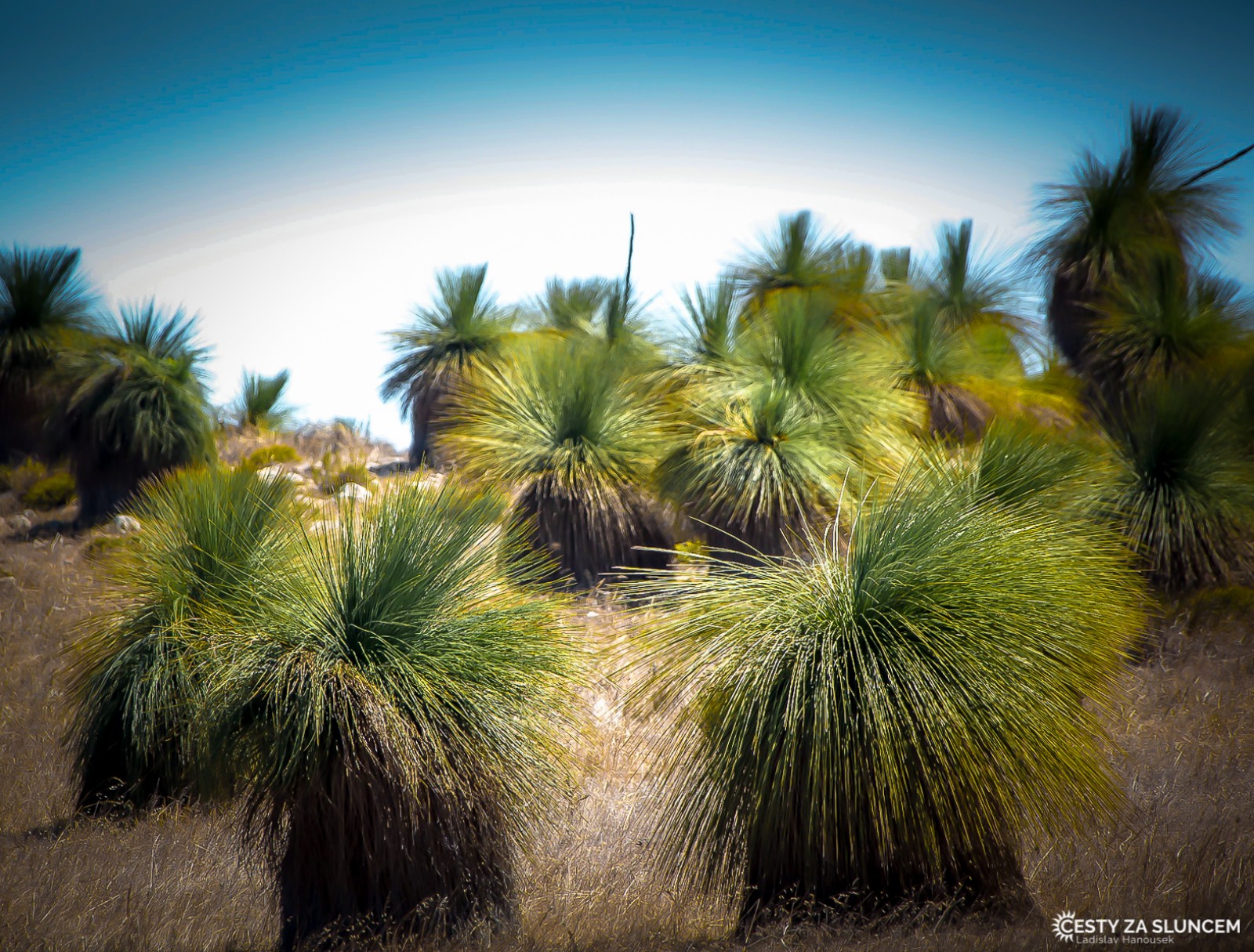 Francois Peron National Park - Ladislav Hanousek, Západní Austrálie